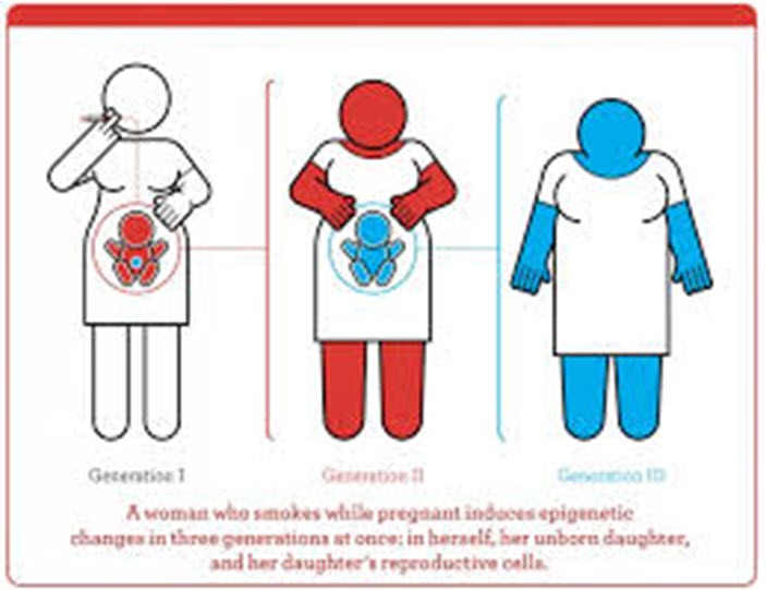 epigeneticChanges001